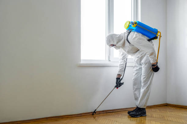 Best Exterminator Services  in Santa Clara, UT
