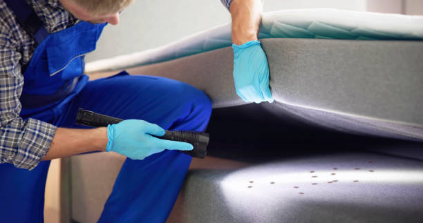 Best Termite Control Services  in Santa Clara, UT
