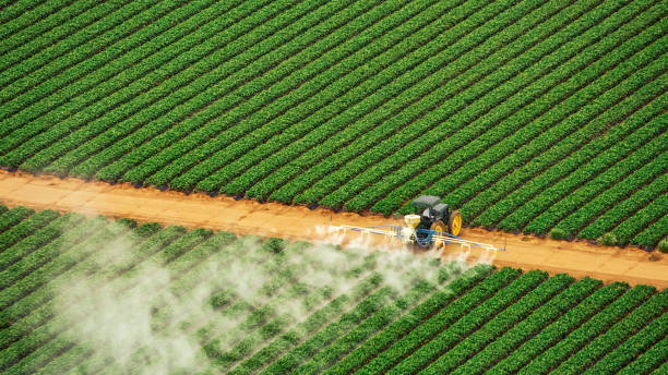 Best Pest Control for Businesses  in Santa Clara, UT