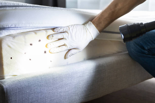 Best Local Pest Control Services  in Santa Clara, UT